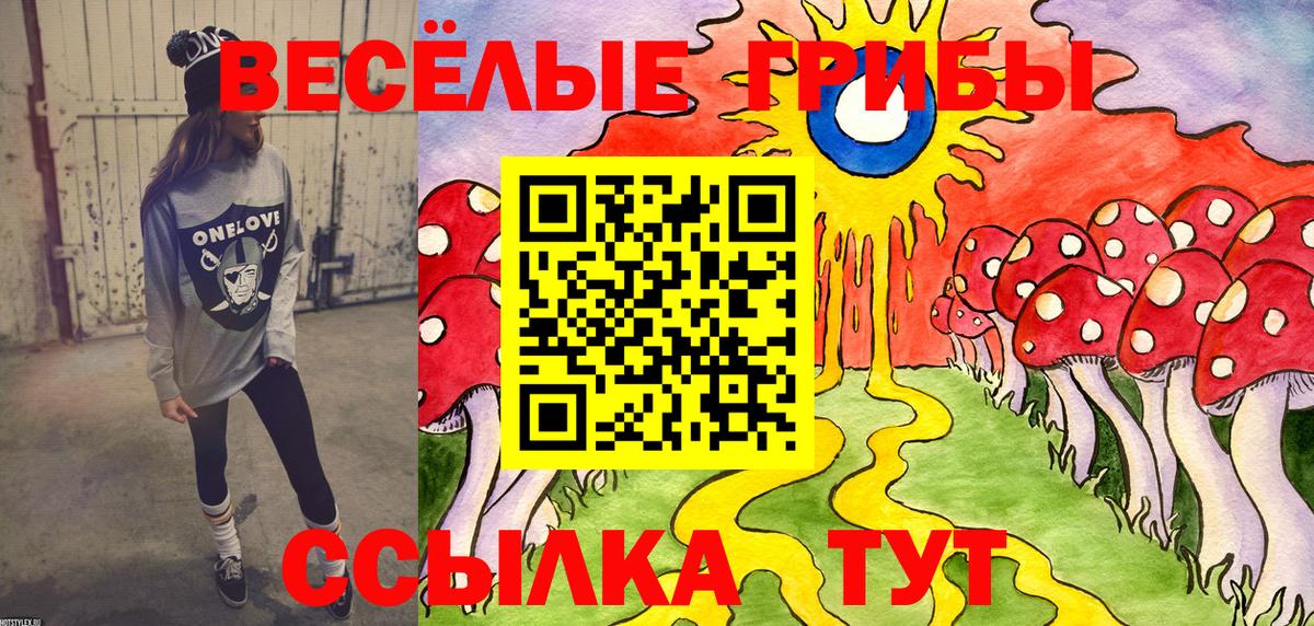 Малгобек  Галлюциногенные грибы мицелий  Галлюциногенные грибы GOLDEN TEACHER  Вход с VPN 